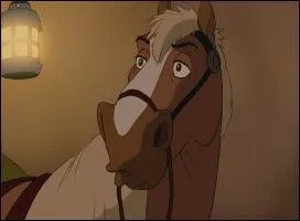 Dans quel film voit-on ce cheval ?