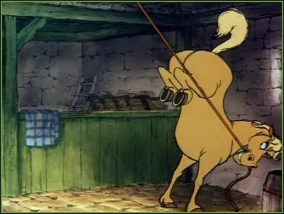 Comment s'appelle ce cheval ?