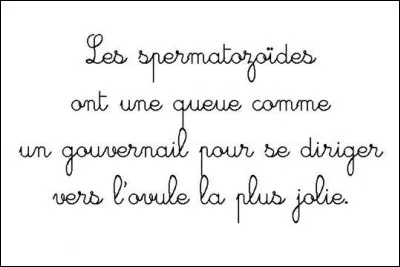 Question de l'examinateur : Quelle est la capitale de Taïwan ? - Réponse de la future énarque :