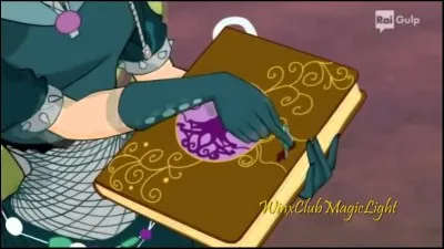 Comment s'appelle le livre de Séléna ?