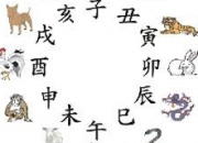 Test Compatibilit avec les signes astrologiques chinois ?