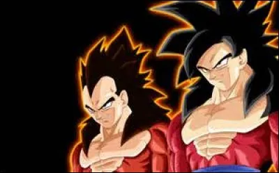Quelle est la transformation de Goku et Vegeta ?