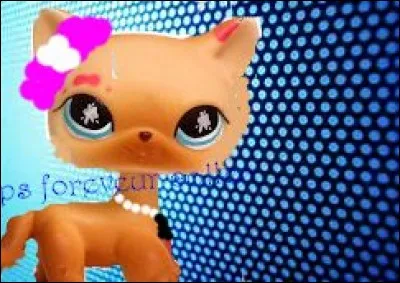 Quelle est mon ancienne mascotte ?