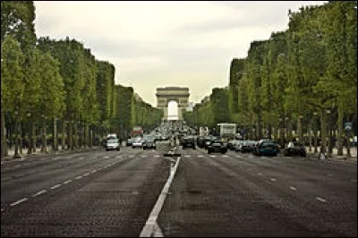 L'avenue des ___-Élysées est une grande et célèbre voie de Paris.