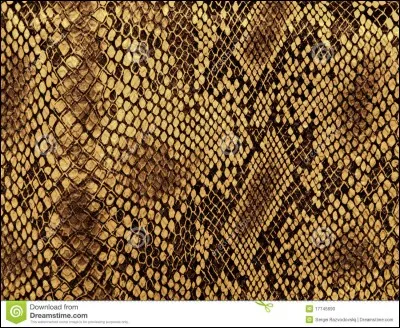 Est-ce qu'un serpent a la peau rugueuse ?