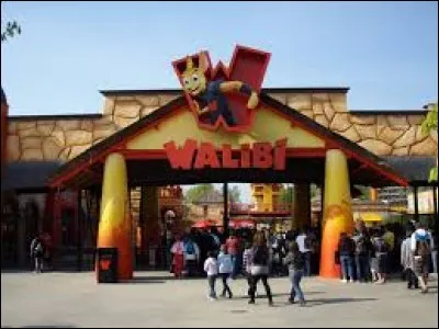 De qui Walibi est-il enceinte ?