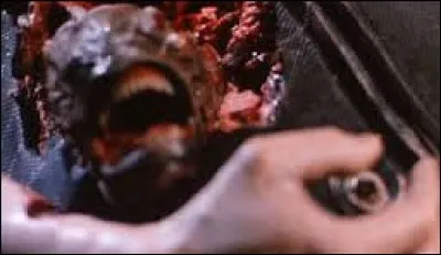 À qui doit-on le film "Piranha 2 : Les Tueurs volants" ?