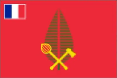 Quel est ce drapeau ?