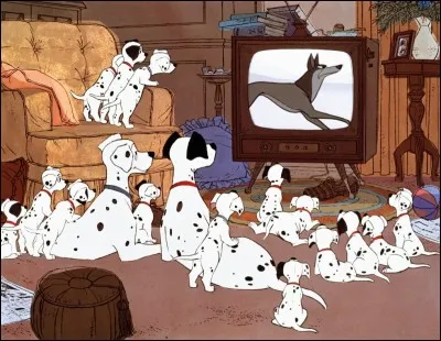 Comment s'appelle le dalmatien sans tache ?
