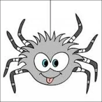 J'éprouve un malin plaisir à agiter mes 8 pattes pour faire peur au monde entier...