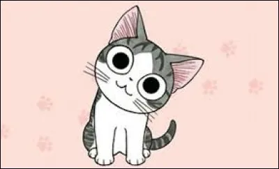 Ma vie n'est pas compliquée, je roupille toute la journée en réclamant des croquettes, puis je miaule en agitant mes petites pattes pour avoir des caresses...