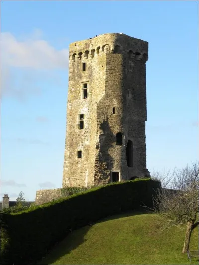 Ce donjon est vraiment __.