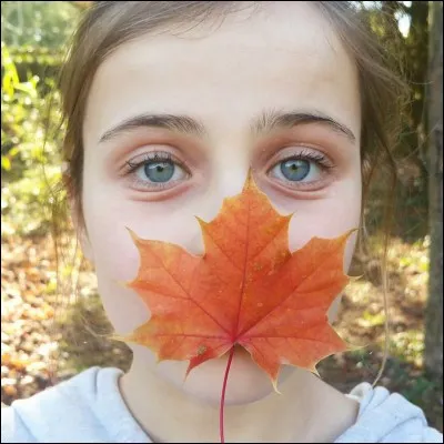 Quel est le portable de Maia?