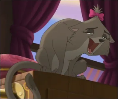 Comment la chatte, qui est l'assistante personnelle de la chanteuse, s'appelle-t-elle ?