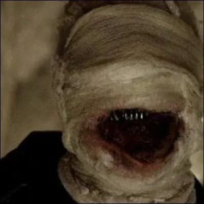 Qui le Nogitsune possède-t-il ?