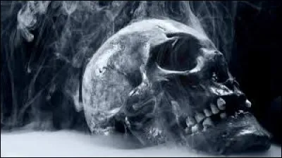 Qu'as-tu déjà vu ?