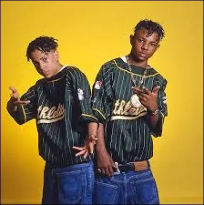 Comment s'appelle ce groupe de hip-hop des années 90 qui était formé de deux jeunes garçons ?