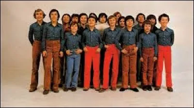 Comment s'appelle ce groupe d'enfants formé en 1970 qui interprétait des chants du mouvement hippie ?