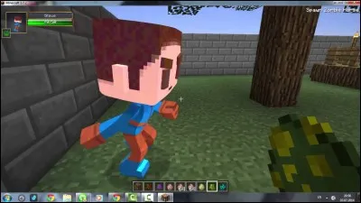 Ce mob existe-t-il encore ?