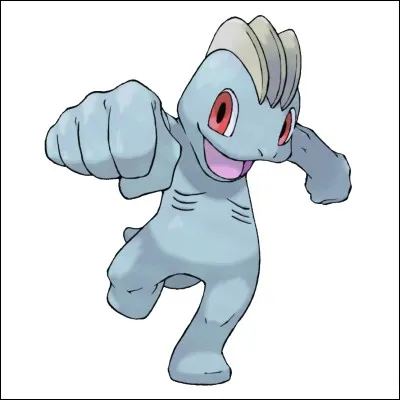 De quel type est Machoc ?