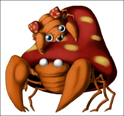 Quels sont les types de Paras ?