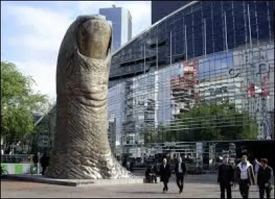 Comment s'appelle le doigt présenté sur l'image ?