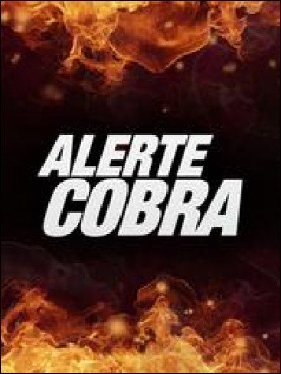 Quel est le titre original d'Alerte Cobra ?
