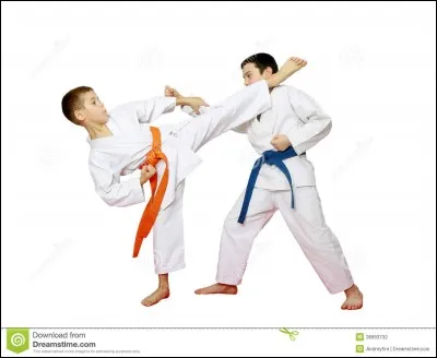 Quel mot est représenté par l'image ?