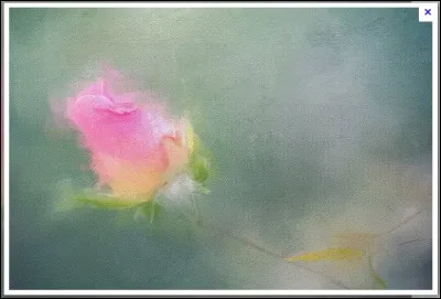 La couleur rose, source d'espoir, de sérénité et de calme, est une couleur répertoriée chaude ou froide ?