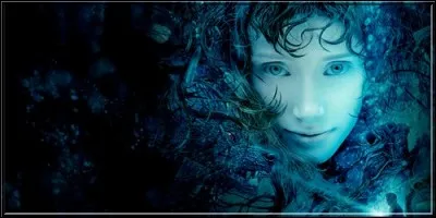 Un gardien d'immeuble trouve une jeune fille bizarre dans la piscine de sa r&eacute;sidence : elle lui demande de l'aide pour retourner dans son monde, dont l'entr&eacute;e est bloqu&eacute;e, dit-elle, par des cr&eacute;atures mal&eacute;fiques. Il s'agit de :