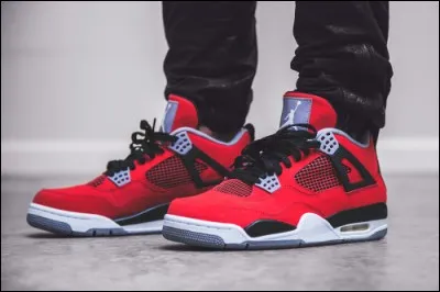 Quel nom porte cette paire ?