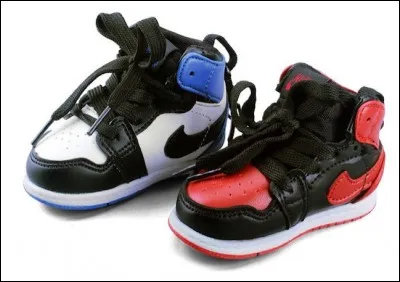 Que permet cet accessoire ?