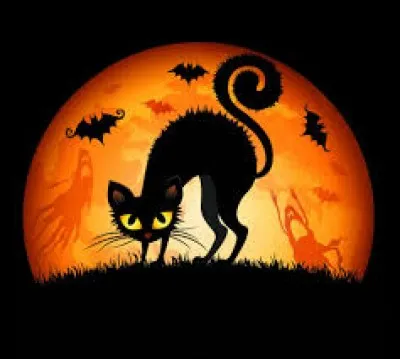 À Churchill au Manitoba (Canada), on établit un périmètre de sécurité pour protéger les enfants qui font la collecte des bonbons le soir d'Halloween... Que craignent-ils ?