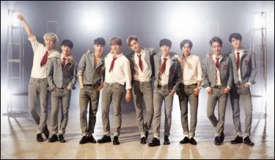 Quel est le maknae de ce groupe ?