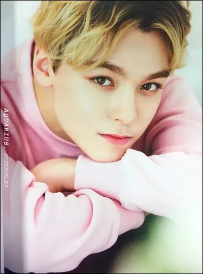 Dans son groupe, Vernon est...