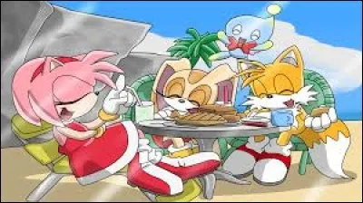 Que se passe-t-il à la fin de la série ?