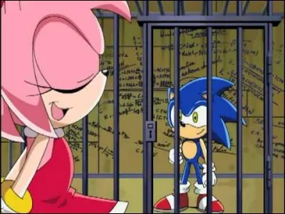 Dans l'un des épisodes de la série, Sonic est arrêté et enfermé en prison de haute sécurité ; pourquoi ?