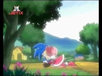 En rentrant enfin chez lui lors du dernier épisode de la saison 1, que fit Sonic ?