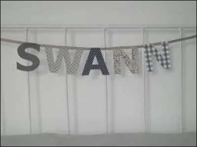 A quel chanteur doit-on "Du côté de chez Swann" ?