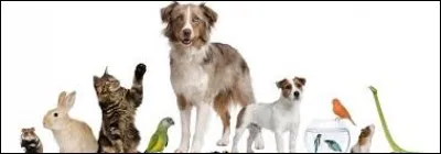 Quel animal belotte ?