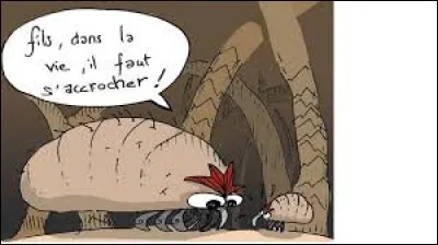 Les poux sont devenus résistants.