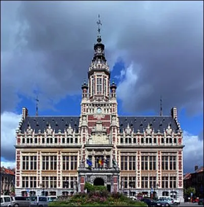 Schaerbeek est une ville de(s)/d'...