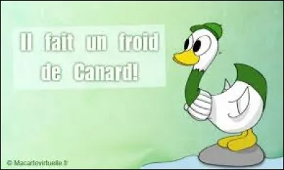 Que signifie l'expression "Il fait un froid de canard" ?