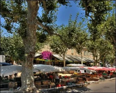 Chanson : Trouvez le mot qui manque dans cette chanson de Gilbert Bécaud ''Les Marchés de Provence'' : 
''Il y a tout au long des marchés de Provence
Qui sentent, le matin, la mer et le Midi
Des parfums de fenouil, melon et ...