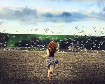 Vocabulaire : Que signifiait le verbe ''décaniller'' à la fin du XVIIIe siècle ?