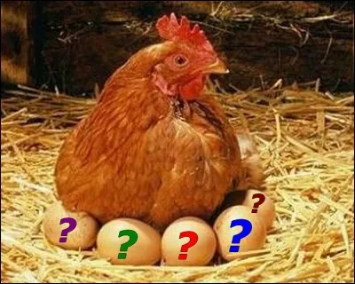 Alimentation : Combien d'œufs consomme en moyenne un Français en un an ?