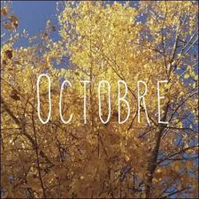 Quel chanteur a sorti le titre "Octobre" dont sont extraites ces paroles : "Je t'offrirai des fleurs / Et des nappes en couleurs / Pour ne pas qu'Octobre nous prenne / On ira tout en haut des collines / Regarder tout ce qu'Octobre illumine / Mes mains sur tes cheveux / Des écharpes pour deux.." ?