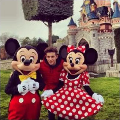 Quelles sont ses professions ?