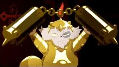 Quel est le nom de l'armure ?