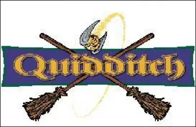 Qui gagne la Coupe du monde de Quidditch ?